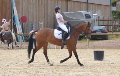 Dressage Open Bourgogne